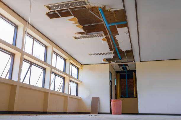Best Fire Damage Restoration  in Allyn, WA