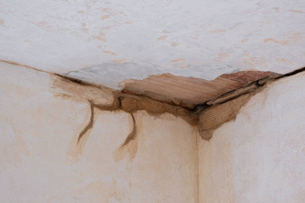 Best Ceiling water damage repair  in Allyn, WA