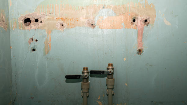 Best Basement water damage restoration  in Allyn, WA