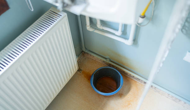 Best Mold removal after water damage  in Allyn, WA